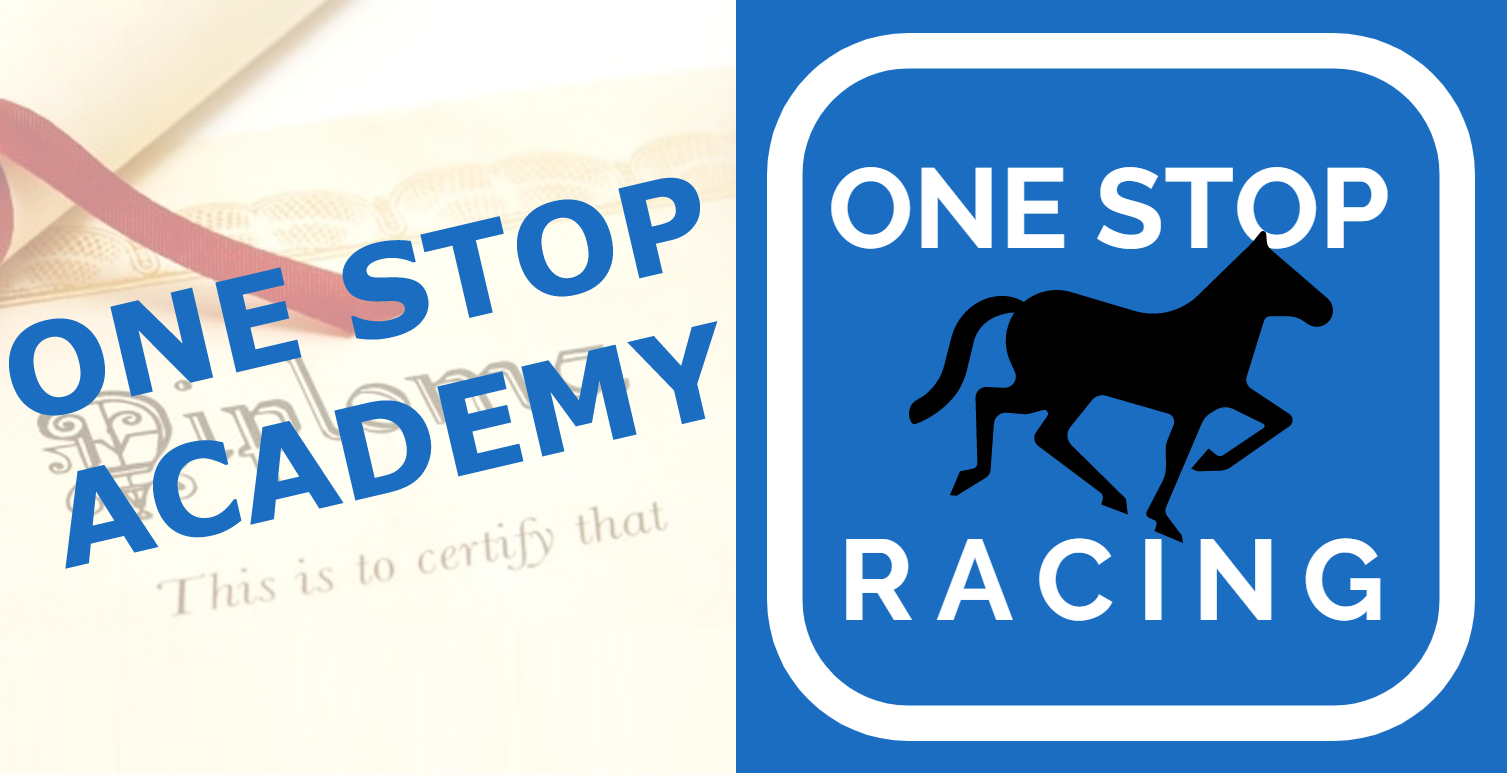 what-are-horse-racing-ratings-one-stop-racing