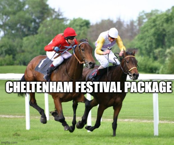 Cheltenham Festival Package One Stop Racing